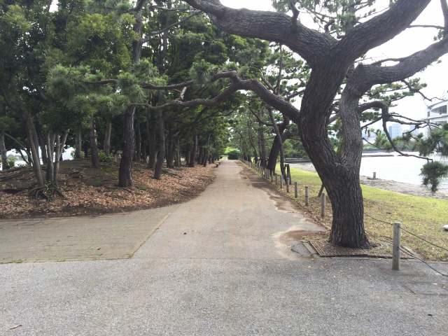 お台場海浜公園・北口