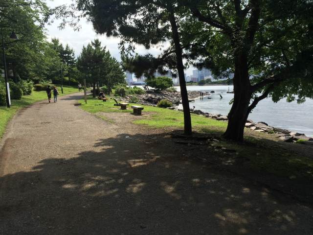 お台場海浜公園の潮干狩りエリア~園道から磯を眺めたところ