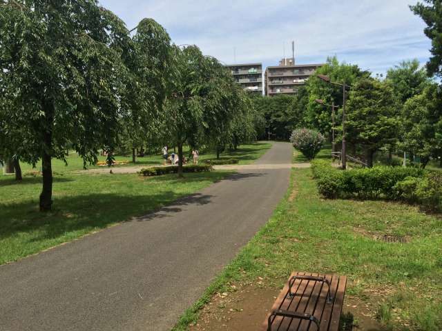 尾久の原公園の東の園路