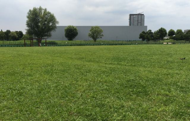 尾久の原公園の芝生広場