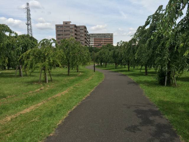 尾久の原公園の北の園路