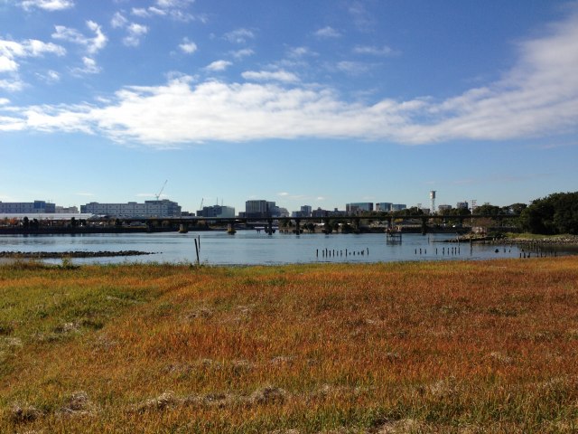 干潟保全地区(野鳥観察小屋)