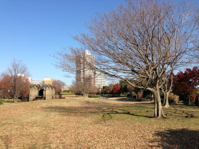 大島 小松川 公園