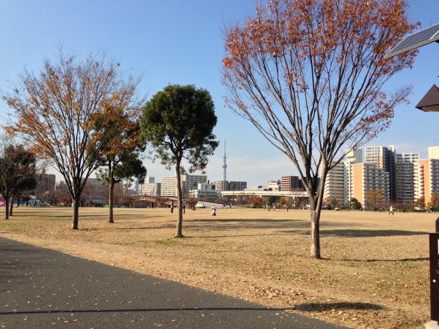 南から見た自由の広場