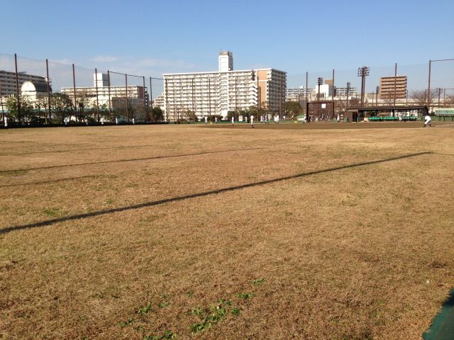 スポーツ広場の野球場