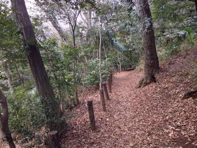 大蔵運動公園の親水園