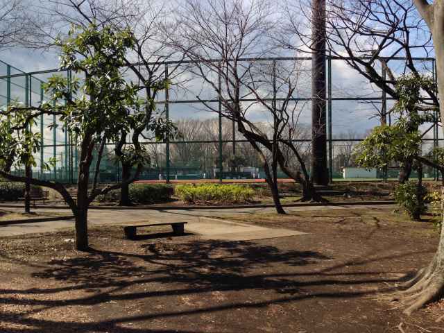 大蔵運動公園の野球場