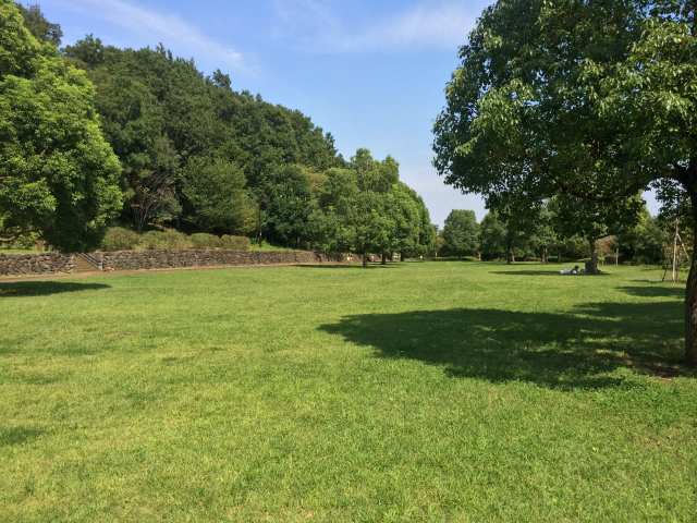 小山内裏公園の草地広場