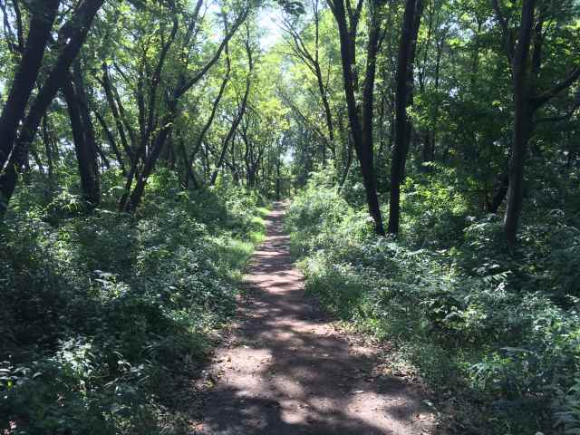 小山内裏公園の散策路