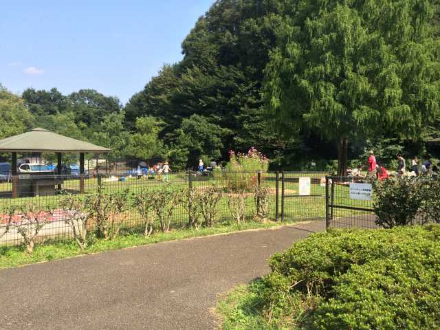 小山内裏公園のバーベキュー広場