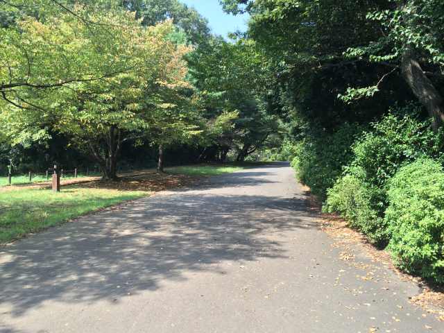 小山内裏公園の戦車道路