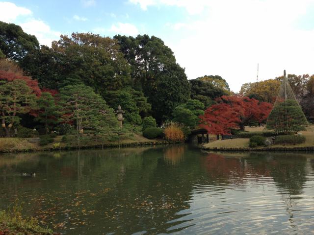 藤代峠の前から見た大泉水