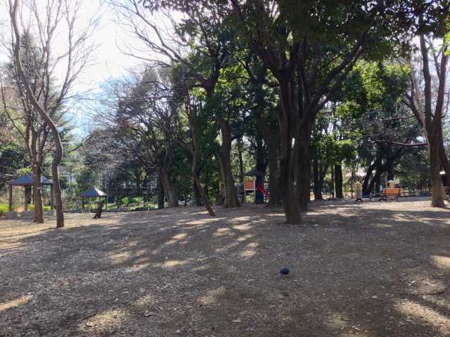 林試の森公園の遊具コーナー