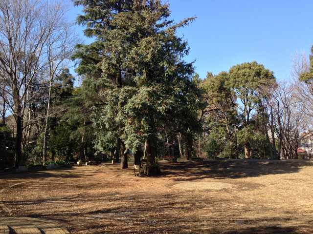 林試の森公園の出会いの広場