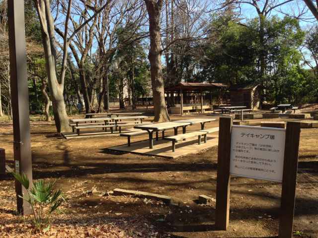 林試の森公園のデイキャンプ場