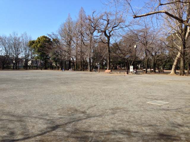 林試の森公園の西の大広場