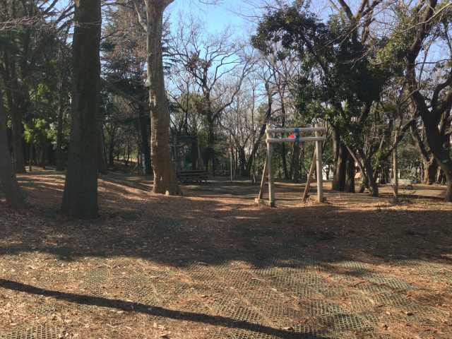 林試の森公園の冒険広場