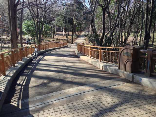 林試の森公園のせせらぎ橋