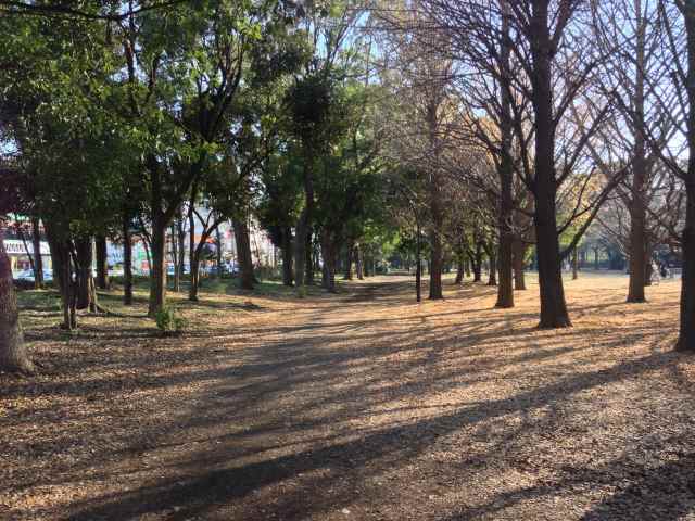 蘆花恒春園の草地広場