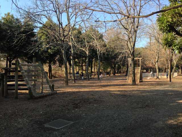 蘆花恒春園のアスレチック広場