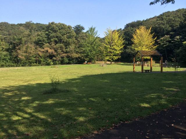 桜ヶ丘公園のとんぼの広場