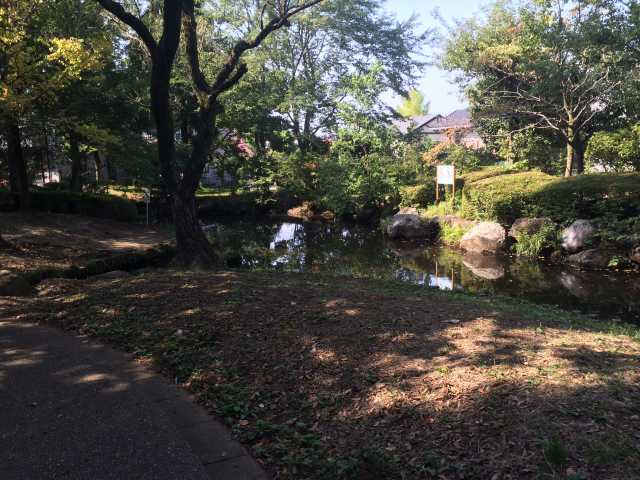 桜ヶ丘公園の大谷戸の池