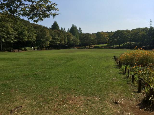 桜ヶ丘公園の市立大谷戸公園