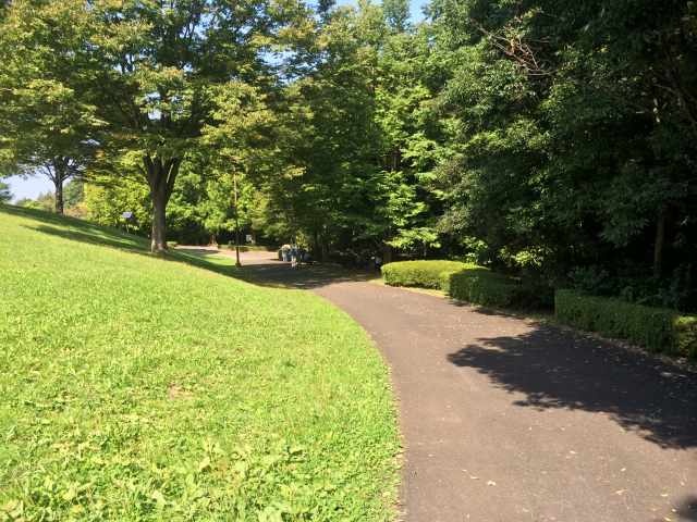 桜ヶ丘公園内の大谷戸の谷