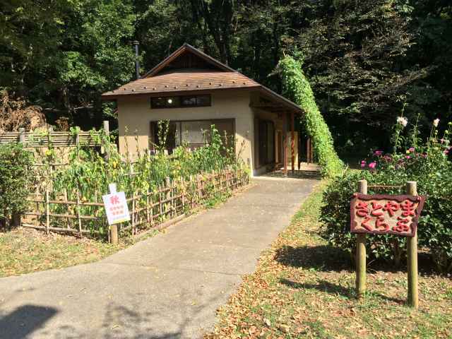 桜ヶ丘公園の里山クラブ