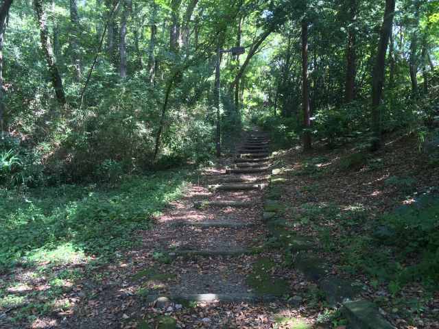 桜ヶ丘公園の富士美の丘