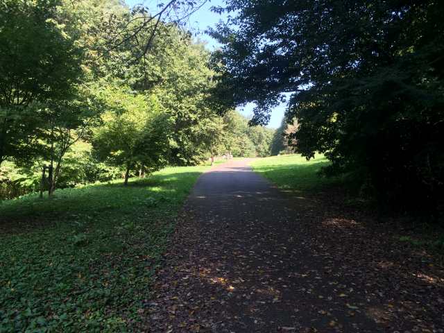 桜ヶ丘公園の山の越