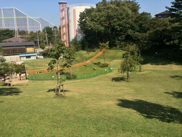 桜ヶ丘公園のドッグラン