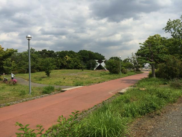 都立狭山公園のどんぐりの森