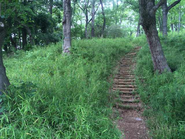 都立狭山公園の青年の森