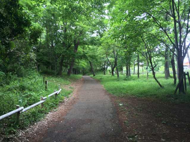 都立狭山公園の野鳥の森