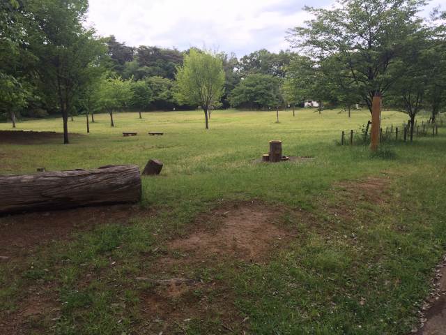 都立狭山公園の太陽広場