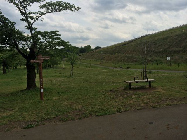 都立狭山公園の風の広場