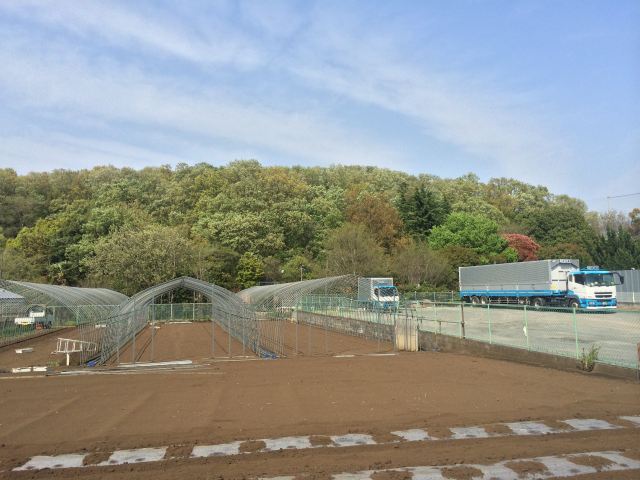 西側から見た浅間山公園の外観