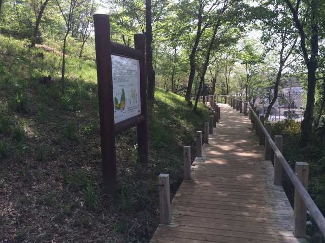 浅間山公園の東の園路