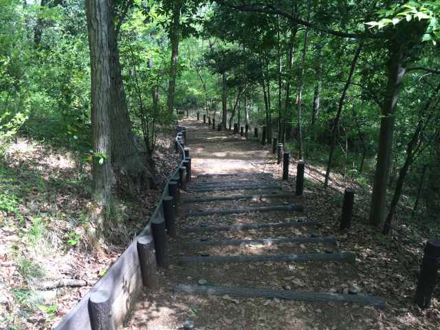 浅間山公園の西側にある前山