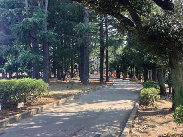 世田谷公園の西の園路