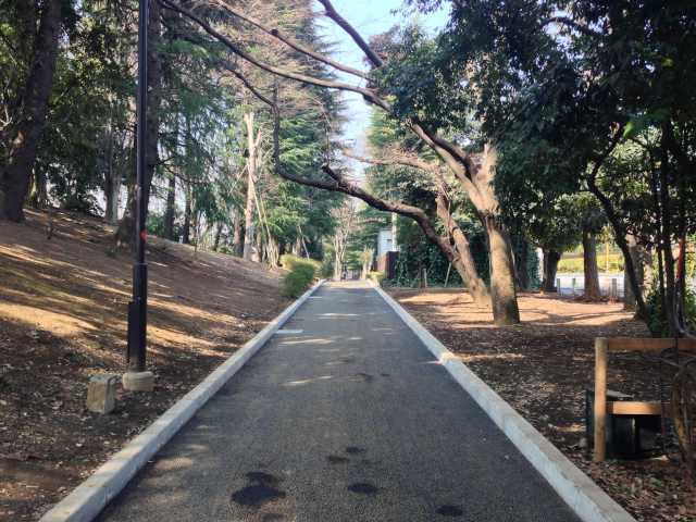 世田谷公園の東の園路