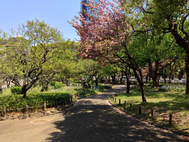 芝公園の銀世界