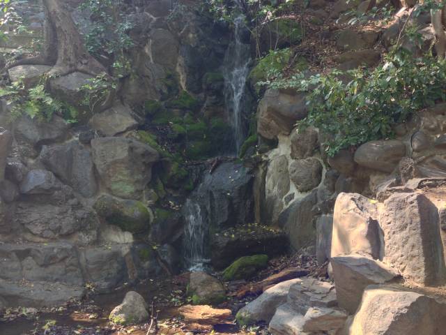 芝公園のもみじ谷～流れ落ちる滝