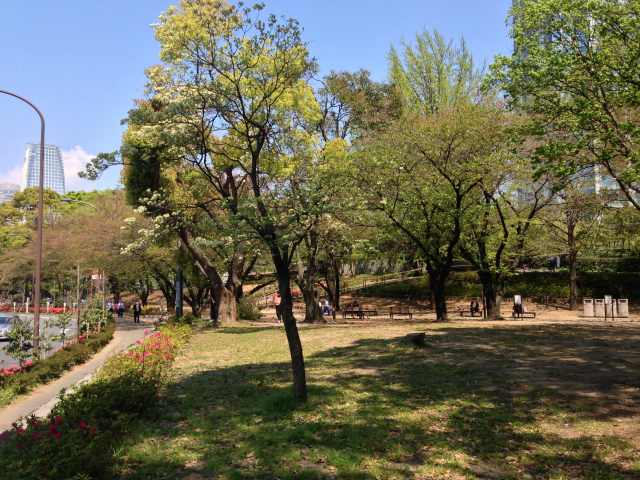 芝公園の西の園路