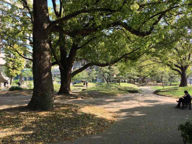 芝公園の東の園路~全景
