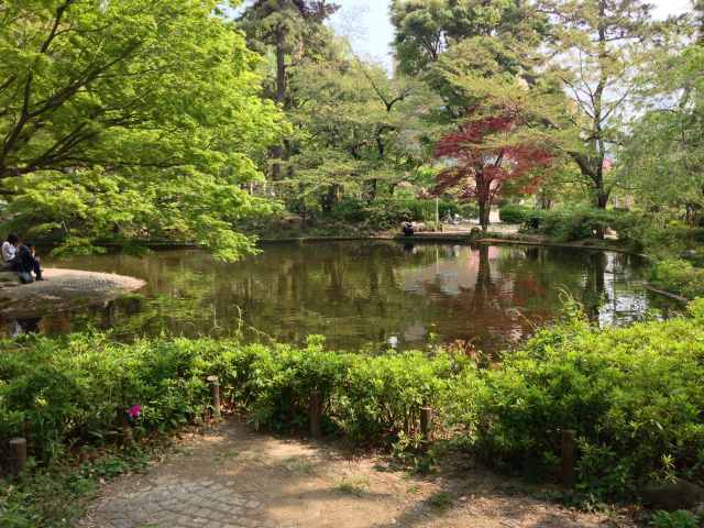 清水谷公園の心字池～池面