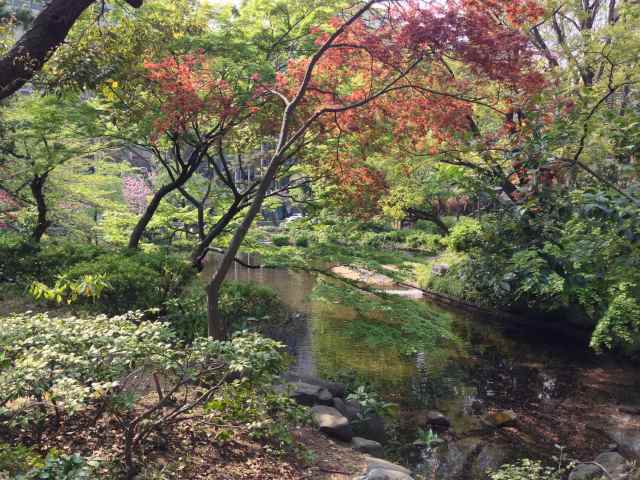 清水谷公園の心字池～池から伸びるせせらぎ