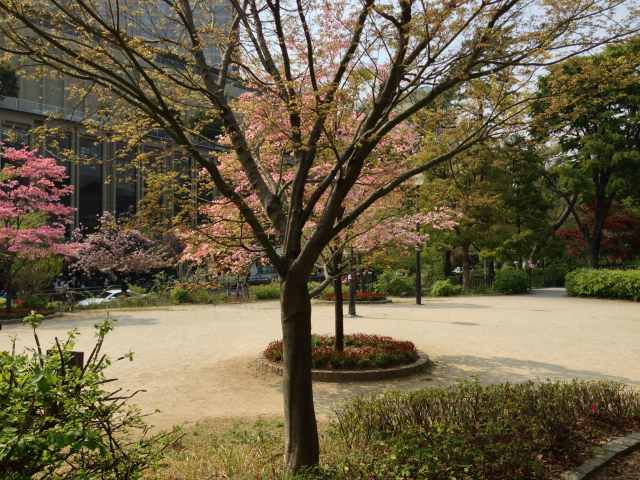 清水谷公園の憩いの広場～園から通りを眺めたところ