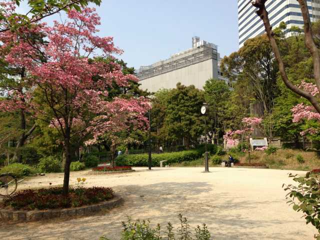 清水谷公園の憩いの広場～通りから園内を眺めたところ